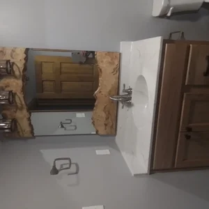 Hall bathroom with live-edge mirror and custom vanity in Elverson, PA